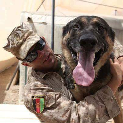 U.S. soldier with Military working dog. (photo on Facebook)